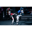 Универсальный робот-гуманоид Unitree Robotics G1-Boxing фото 2