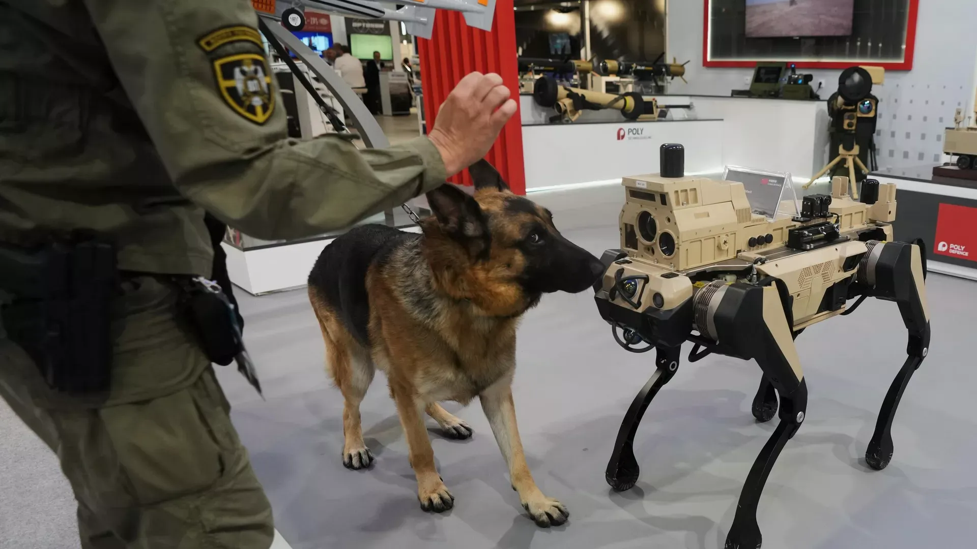 Роботы-собаки начали патрулировать улицы в Китае