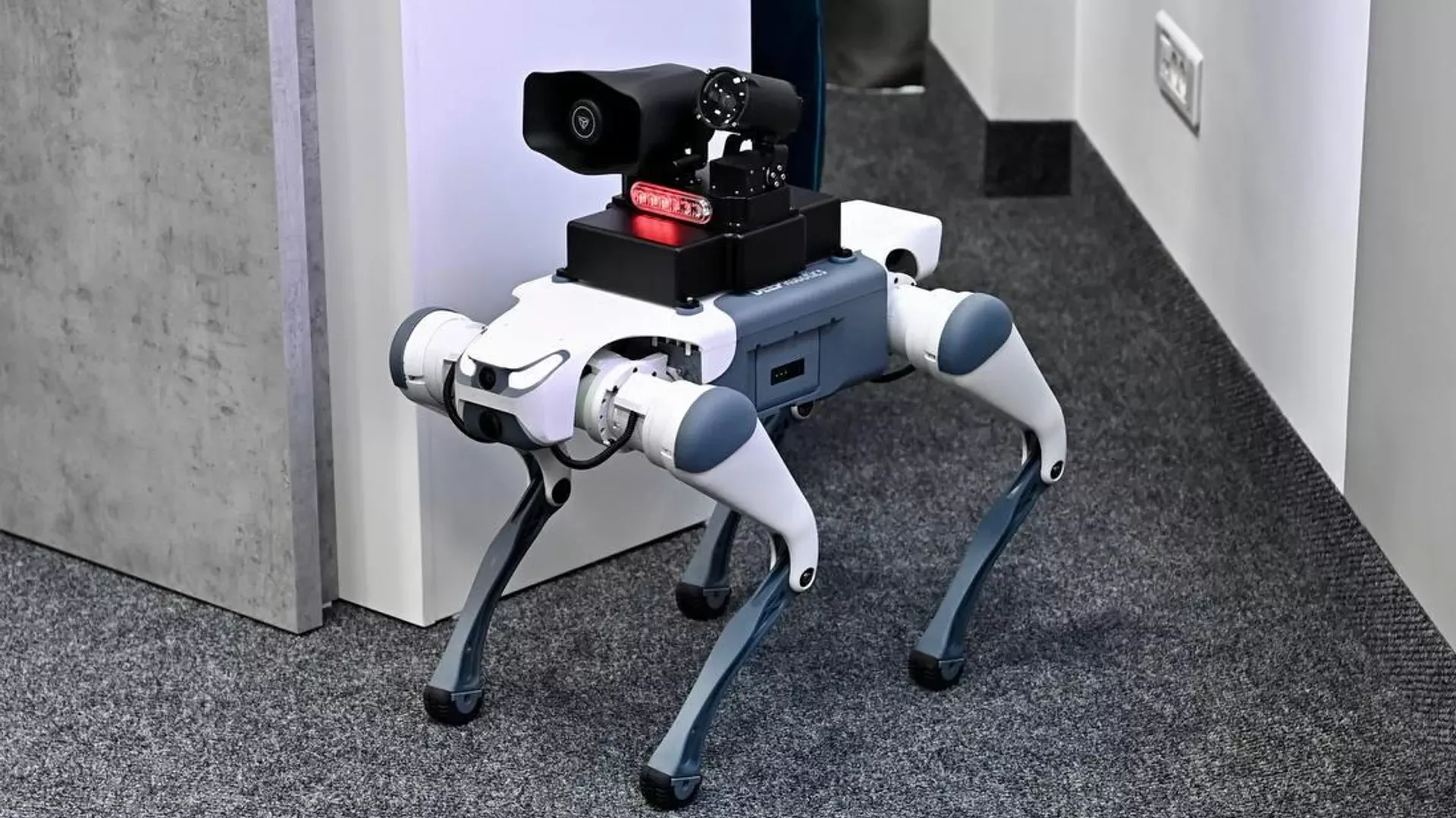 Роботы-собаки и дроны становятся частью работы полиции Казахстана